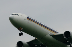 SingaporeAirlines