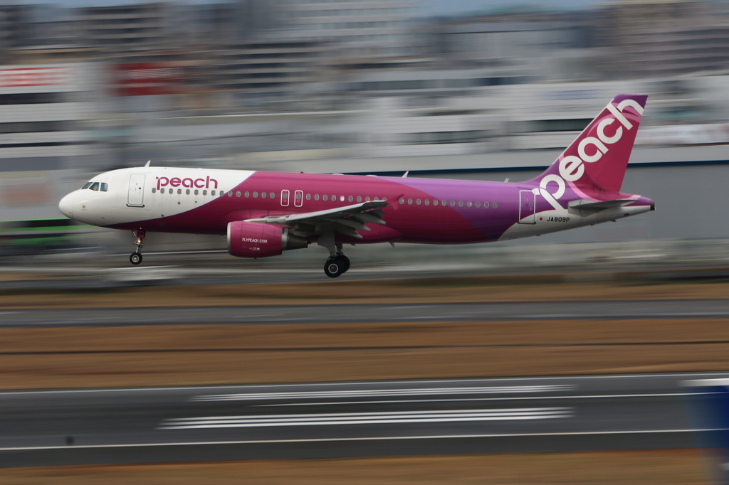 福岡空港2タミ (6)
