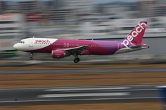 福岡空港2タミ (6)