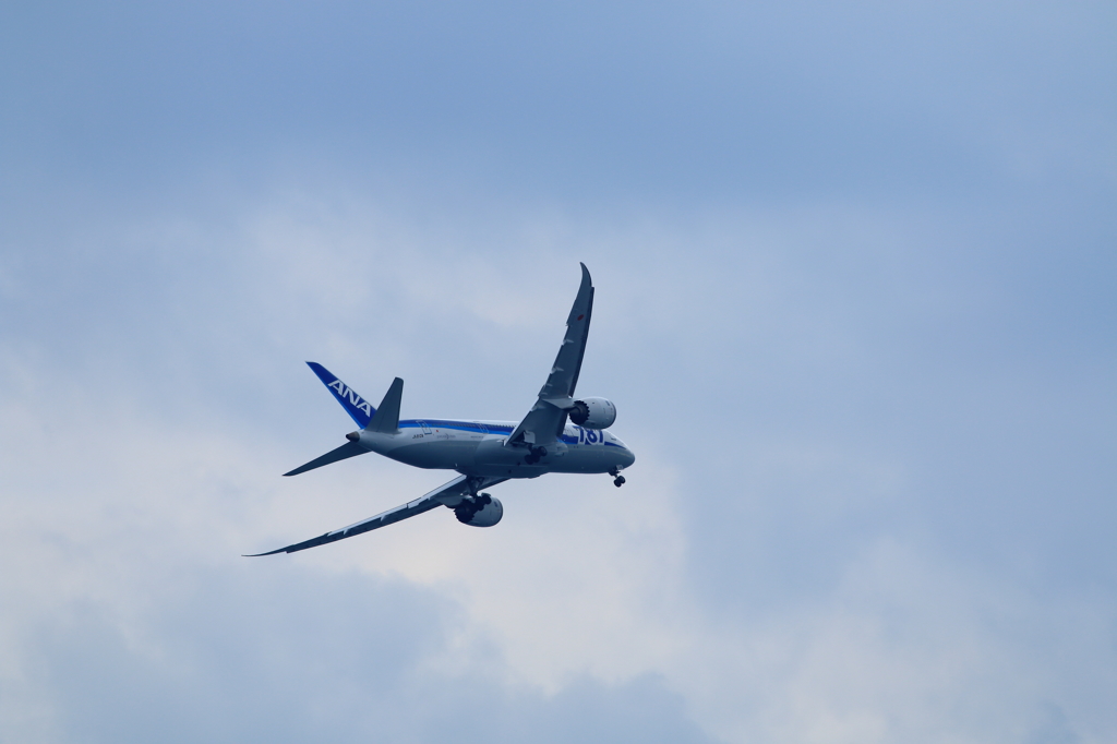 B787 (2)