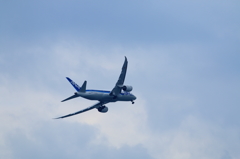B787 (2)