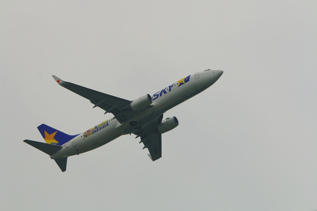 SKY MARK