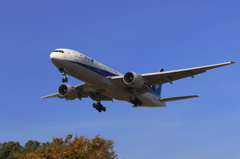 A320