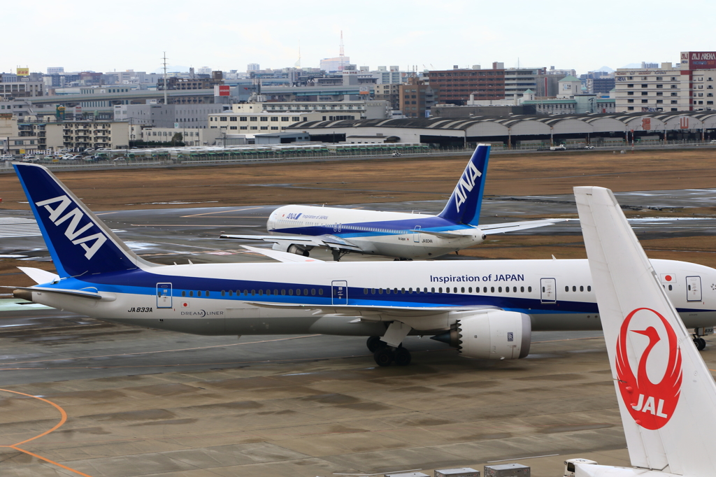 福岡空港2タミ (25)