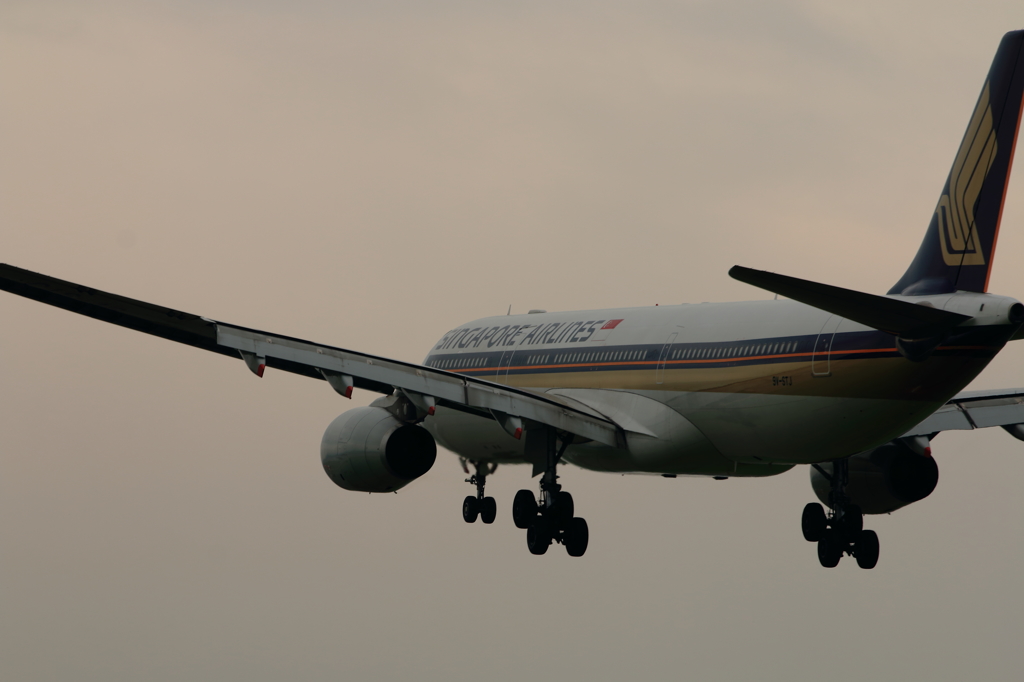 SingaporeAirlines