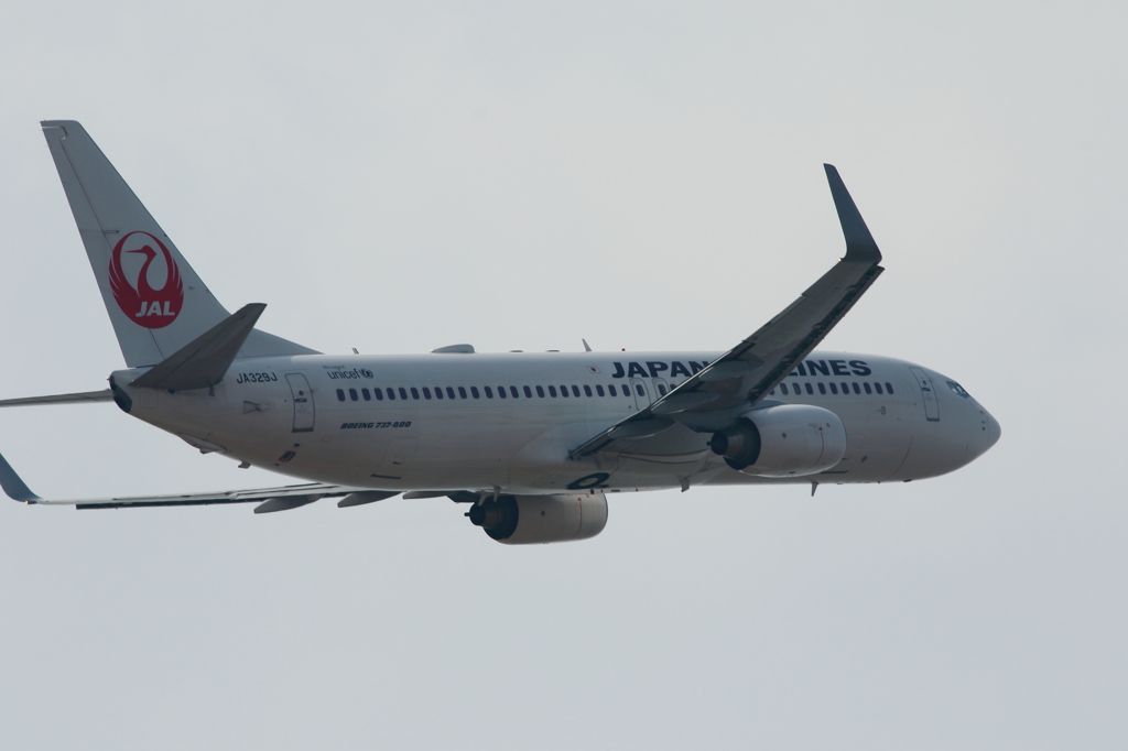 JAL (4)