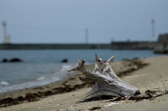 流木