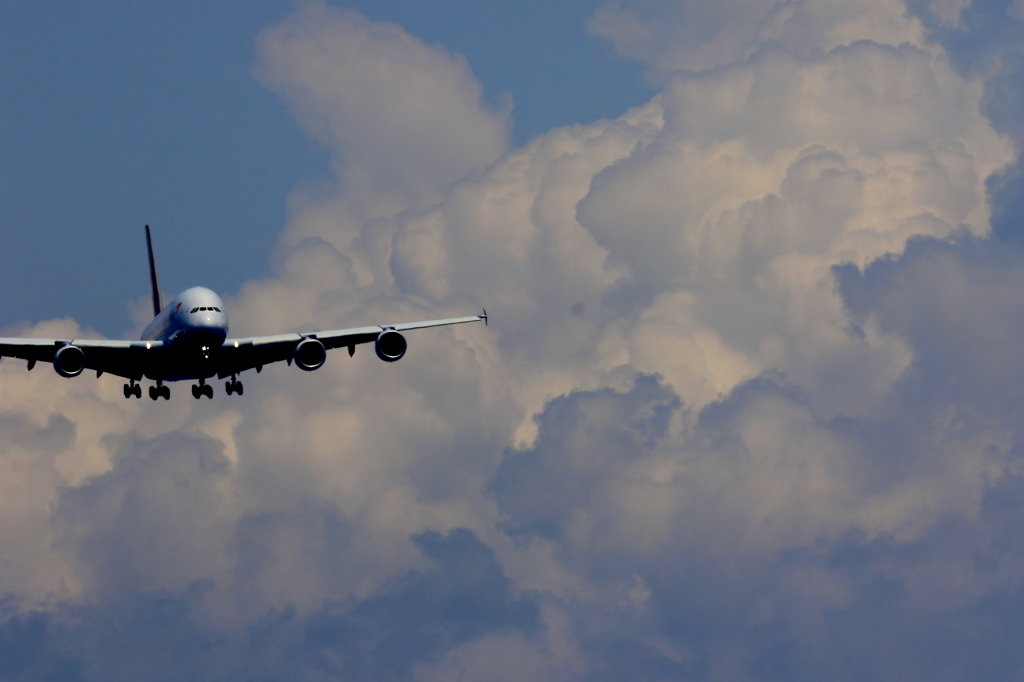 関空 (3)