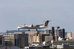 福岡空港2タミ (38)