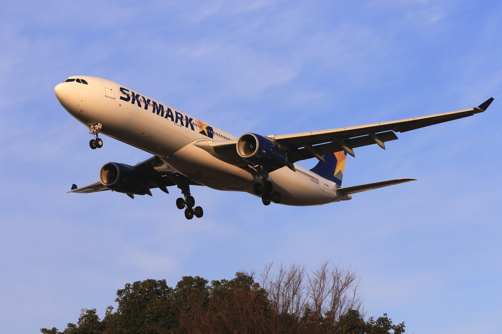SKYMARK (2)