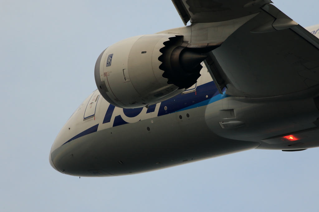 B787 (2)
