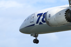 B787 (3)