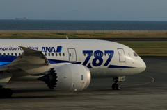 B787 (4)