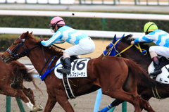 小倉競馬場 (11)