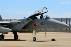F15
