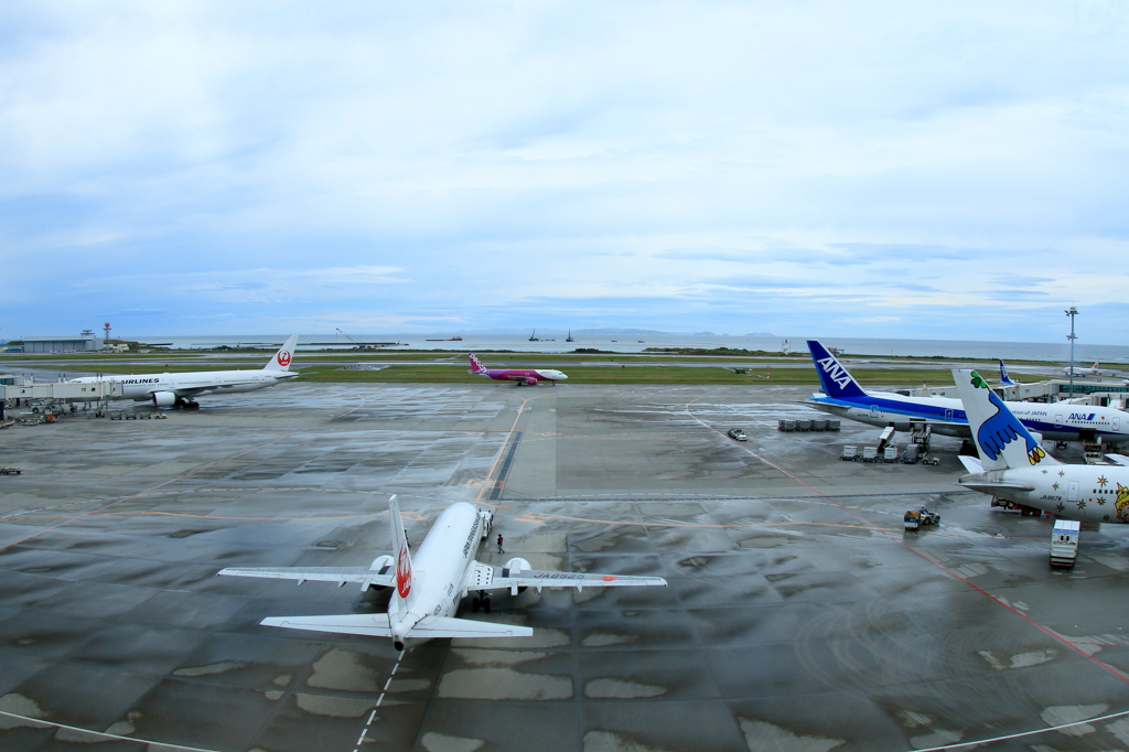 那覇空港遠征2日目 (28)