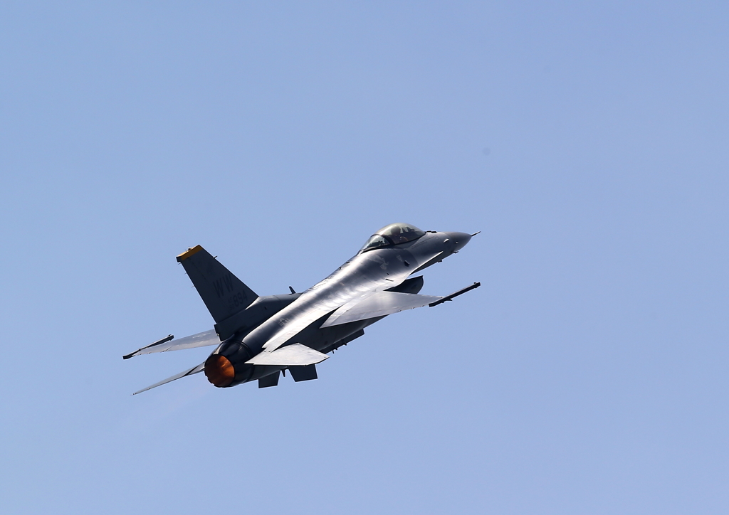 FSD (28)