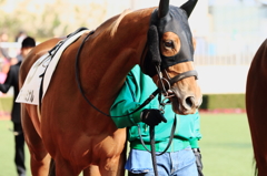 小倉競馬場 (3)