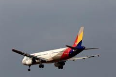 ASIANA (2)