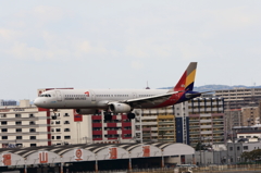 福岡空港2タミ (31)
