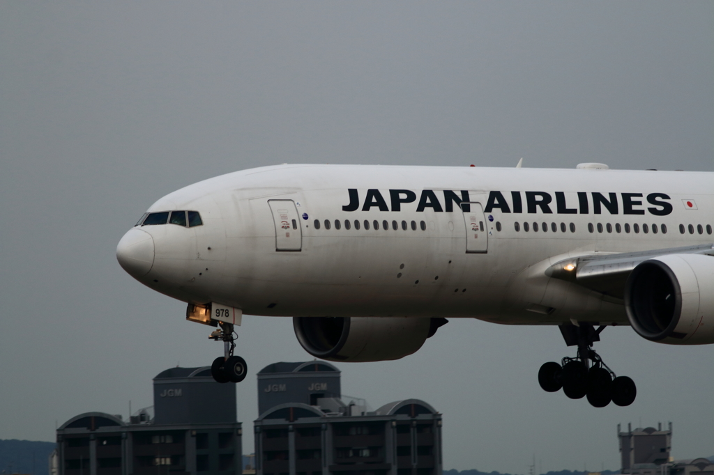 福岡空港2タミ (4)