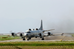 FSD (4)