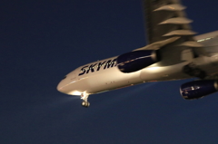 SKYMARK (2)