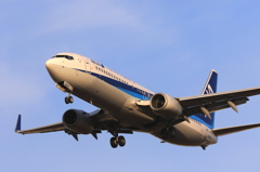B737 (4)