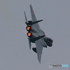 F15