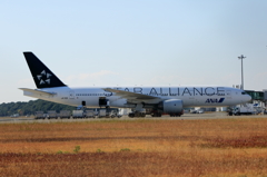 STAR ALLIANCE (5)