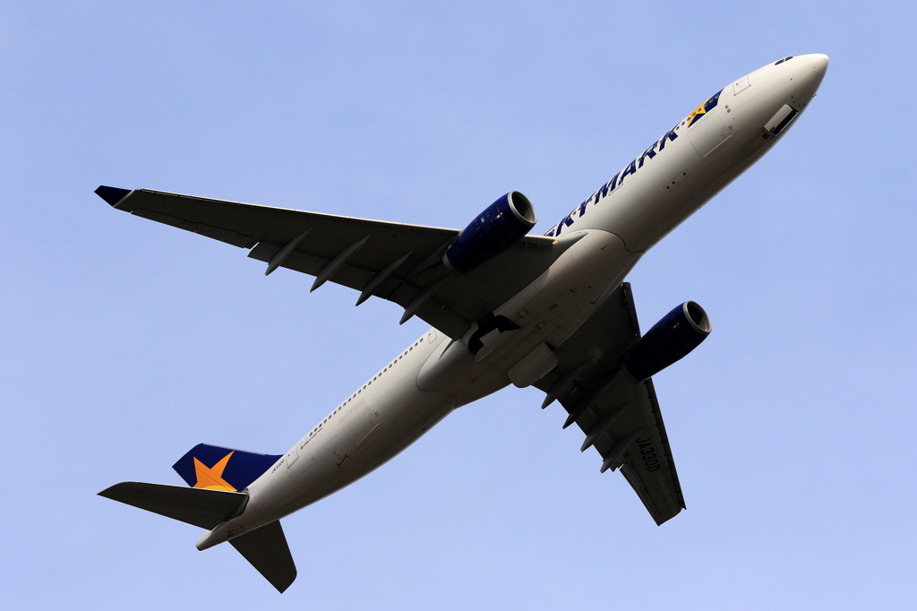 SKY MARK
