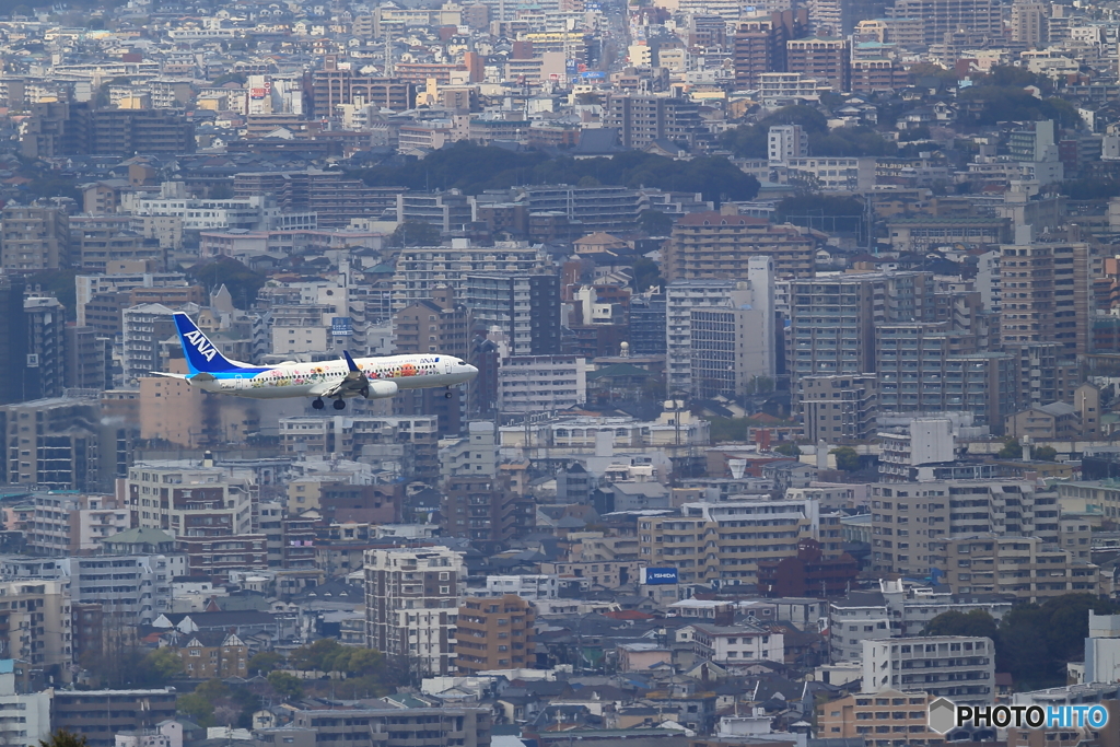 井野山 (4)