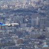 井野山 (4)