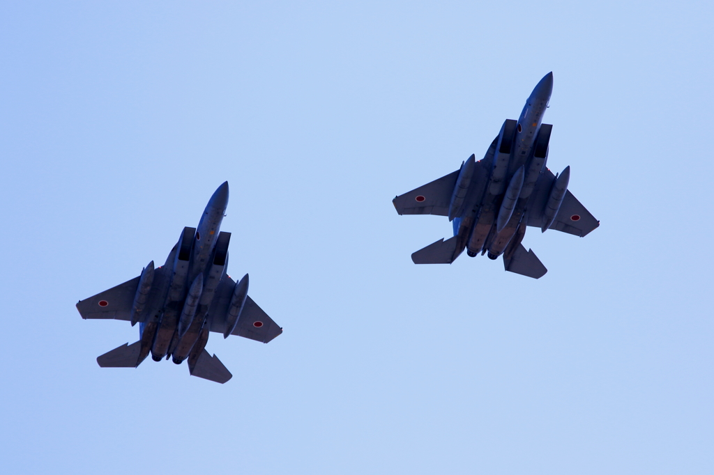 F15 (2)