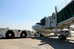 B737 (3)