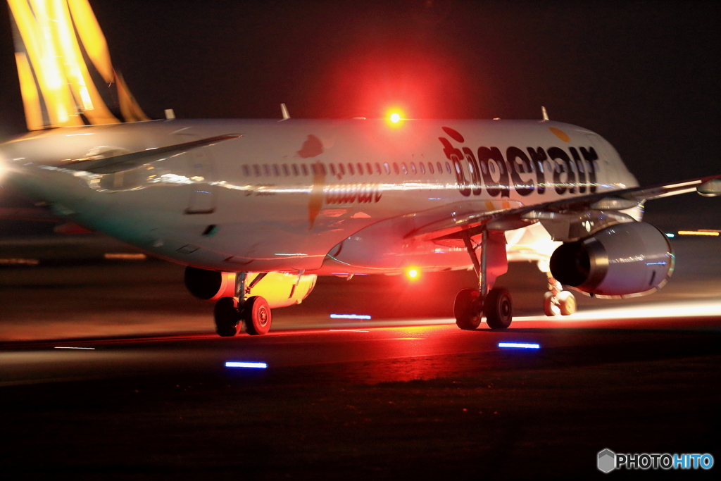 tigerair (2)