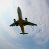 A320