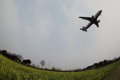 福岡空港RWY16側 (3)