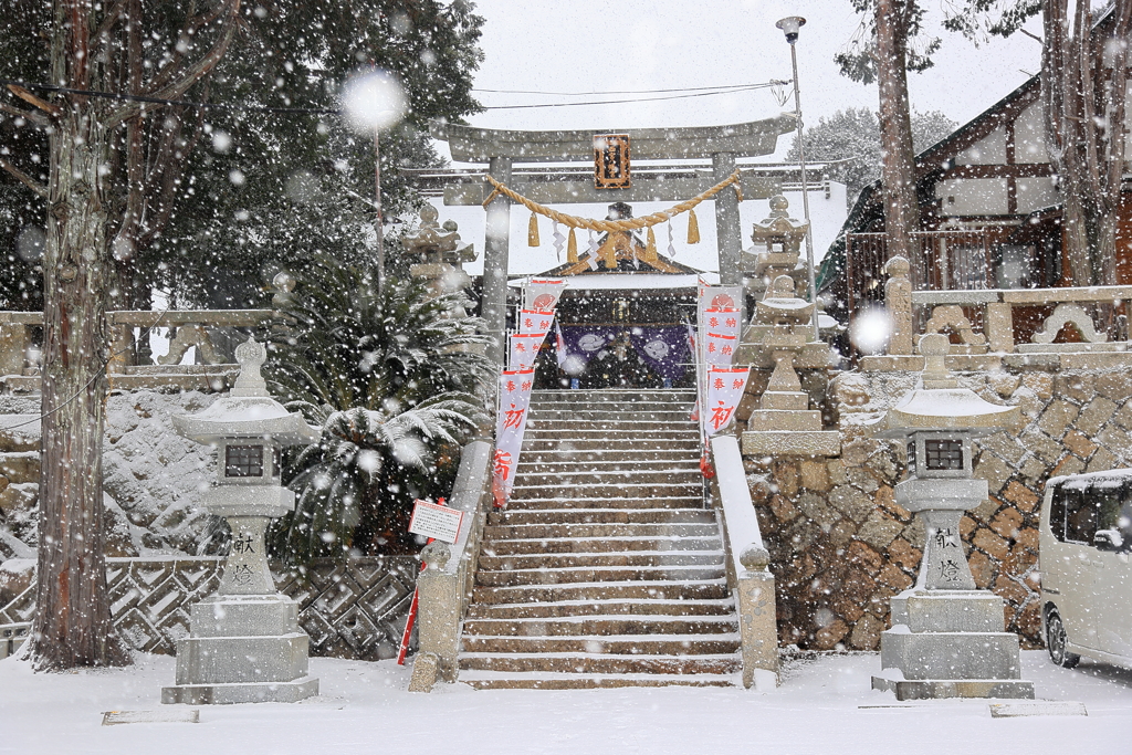 初雪