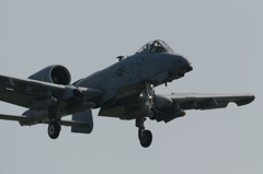 FSD (5)