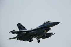 FSD (7)