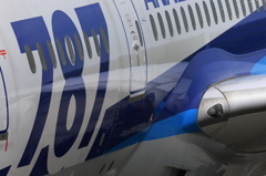 B787 (2)
