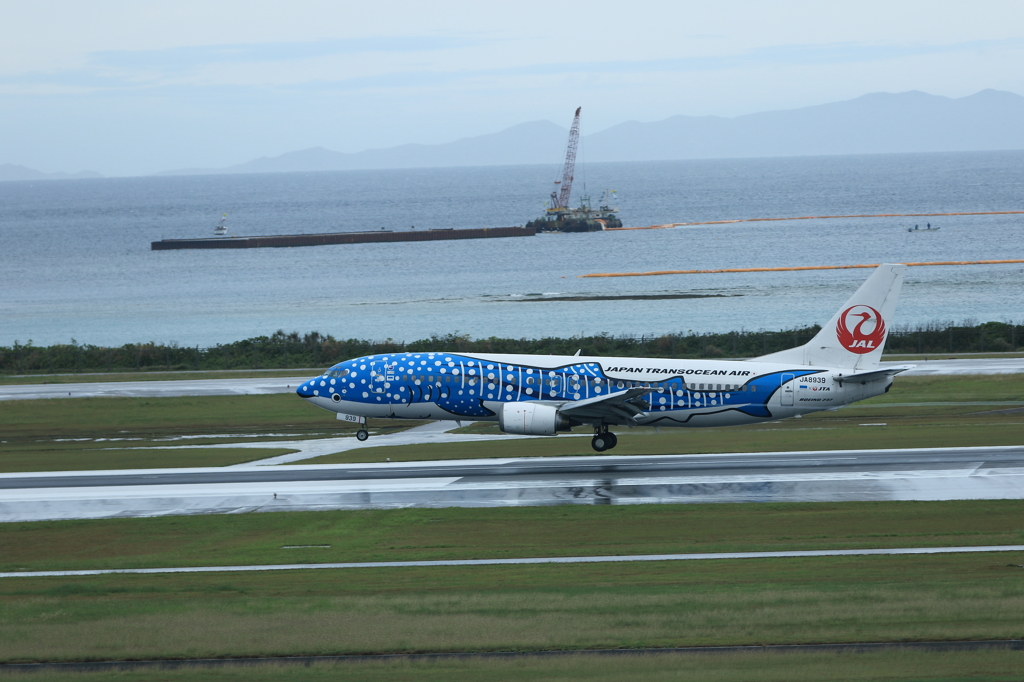 那覇空港遠征2日目 (10)