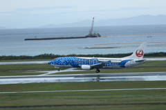 那覇空港遠征2日目 (10)