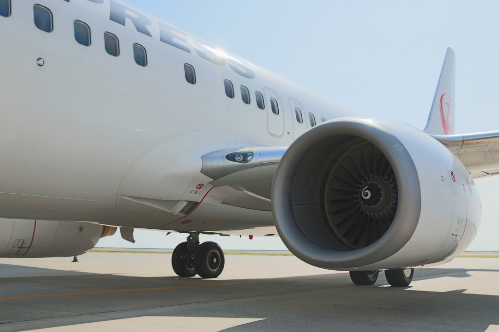 B737 (2)