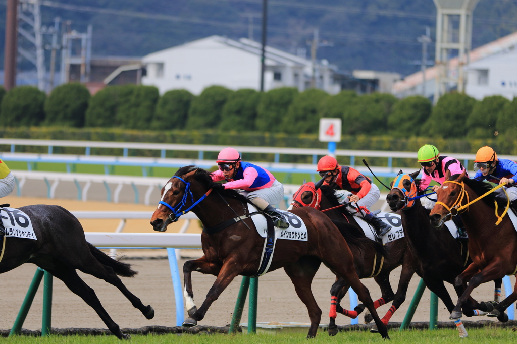小倉競馬場 (13)