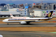 福岡空港2タミ (32)