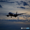 B787