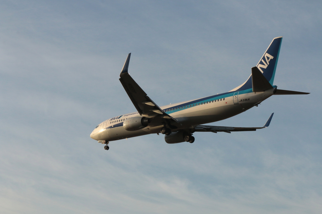 B737 (3)