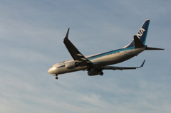 B737 (3)